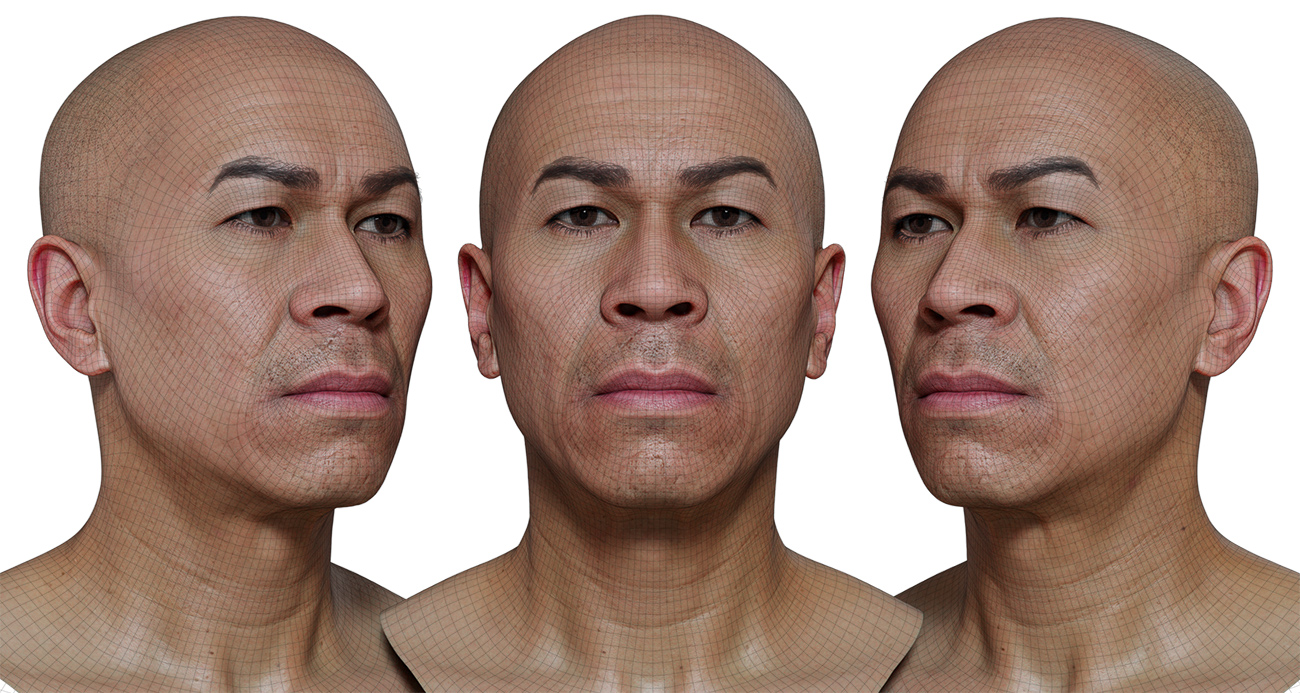 Enhance your digital creations with our male metamorph head scan. Our cutting-edge 3D scanning technology captures every detail of the human head, creating a one-of-a-kind model that is perfect for animation, gaming, and other digital projects. With a ZTL file as the source and FBX meshes included, customization is a breeze. Get the high-resolution details you need to take your projects to the next level.